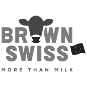 Grauer Schriftzug Brown Swiss mit stilisiertem Kuhkopf und Slogan More than milk