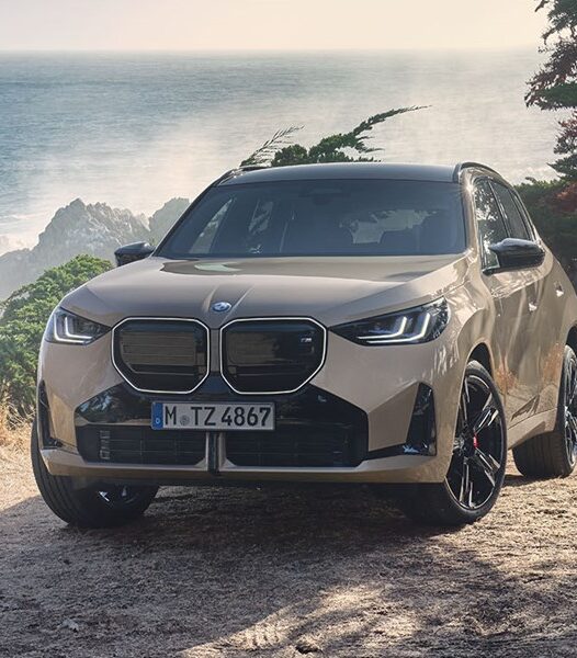 Ein beigefarbener BMW SUV parkt an der Küste mit Blick aufs Meer.